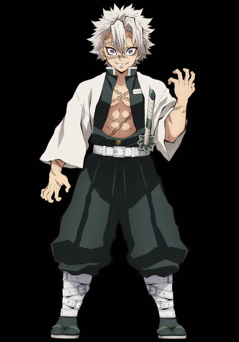 Fan yêu thích sanemi demon slayer không thể bỏ qua