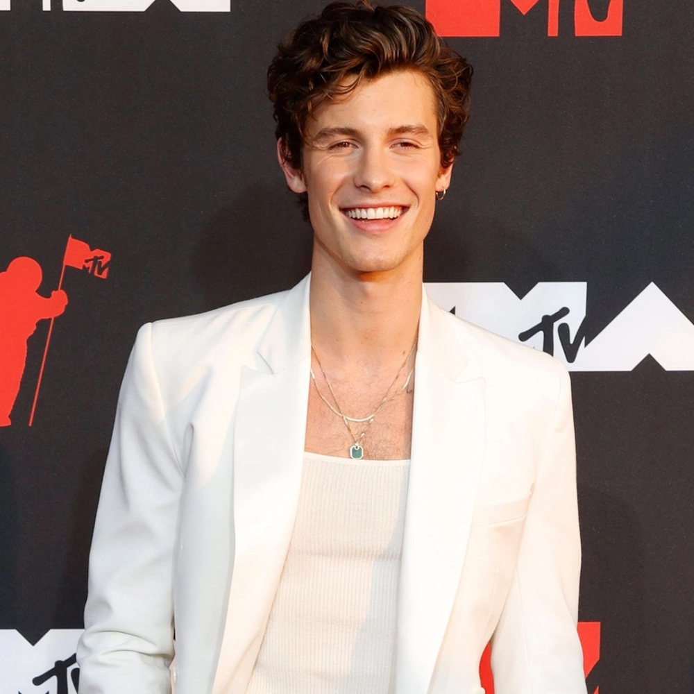 Song by Shawn Mendes bản nhạc pop ballad cuốn hút