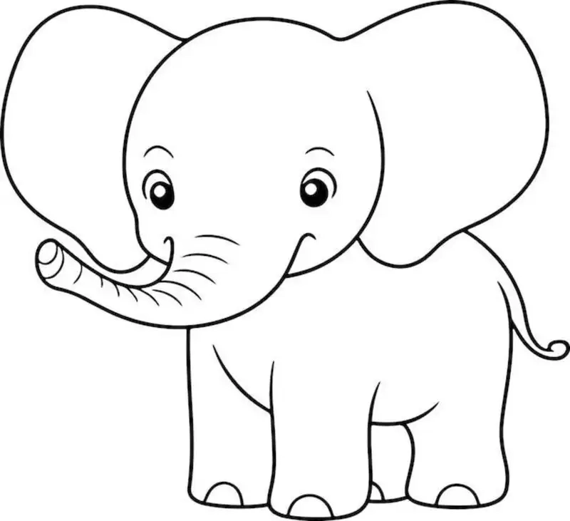 Bộ sưu tập rộn ràng cùng ngộ nghĩnh tranh tô màu con vật sống trong rừng