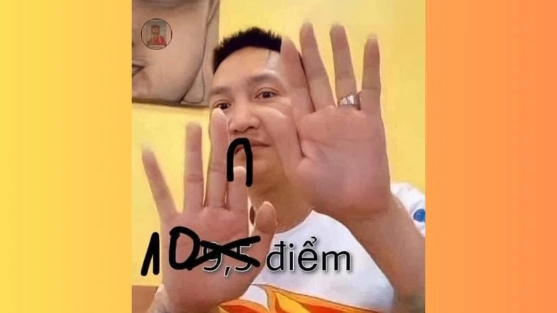 Khám phá những bức ảnh 10 điểm meme hài hước