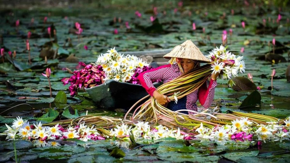Khám phá phong cảnh đẹp ở long an thu hút mọi ánh nhìn
