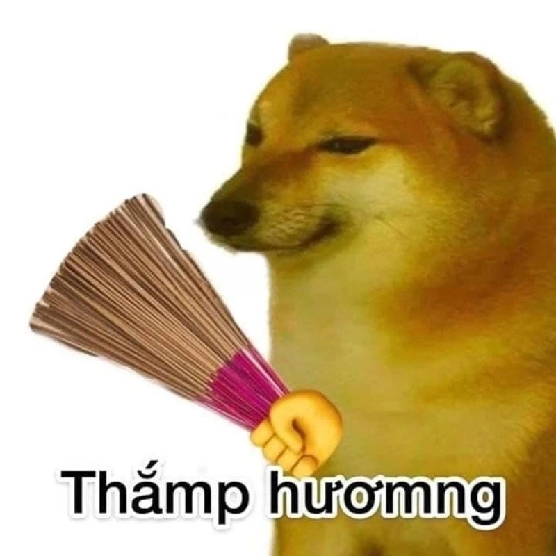 Săn lùng những khoảnh khắc ảnh meme chế vui nhộn