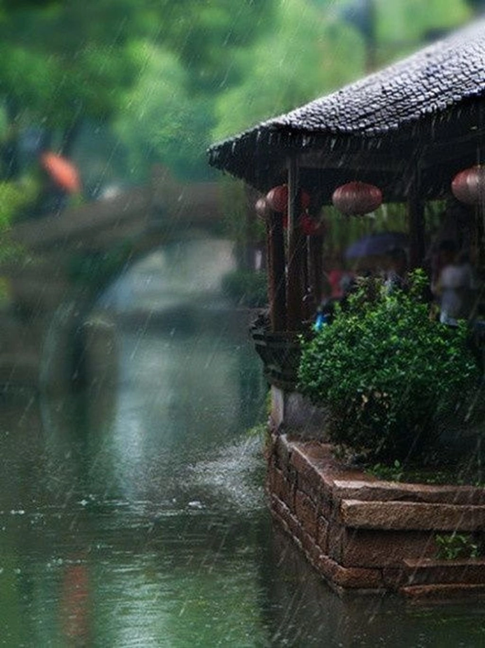 Hình ảnh phố tối mưa gợi cảm giác cô đơn và trầm lặng
