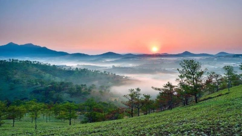 Thưởng thức phong cảnh đà lạt đẹp nhất khiến lòng xao xuyến