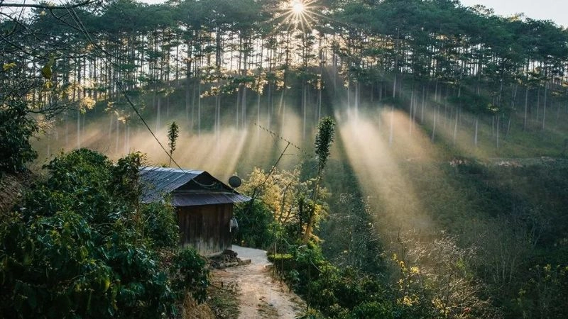Khám phá phong cảnh ở đà lạt tuyệt đẹp cho mọi du khách