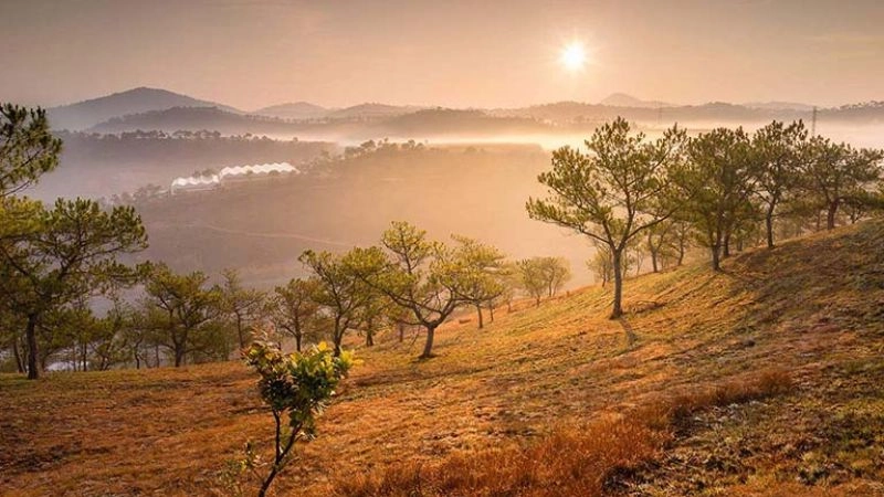 Tận hưởng ảnh cảnh đẹp đà lạt với mọi khung cảnh thơ mộng