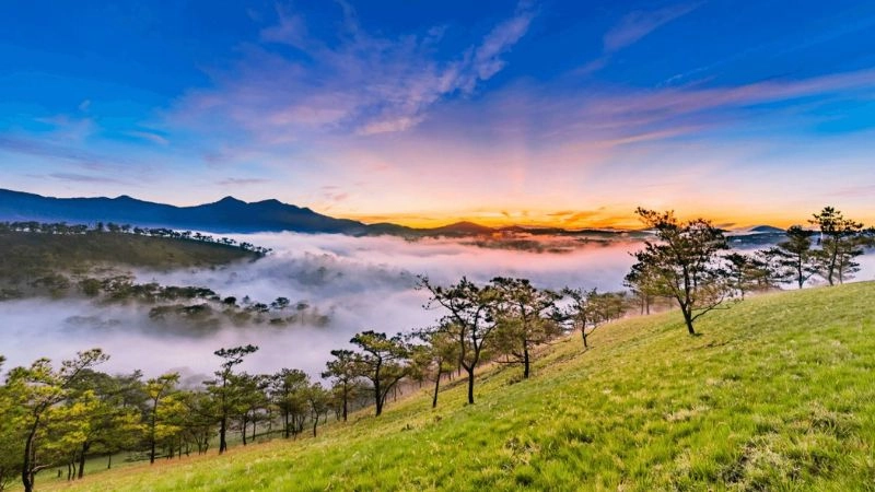 Khám phá hình ảnh cảnh đẹp ở đà lạt khiến tim bạn rung động
