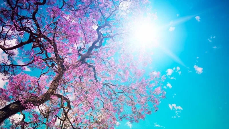 Thư giãn với ảnh phong cảnh đẹp chill dễ chịu và mát mắt