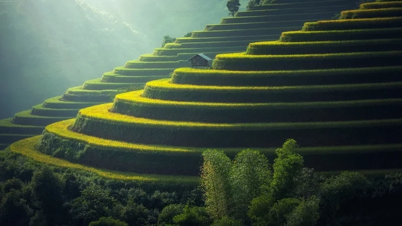 Ngắm ảnh phong cảnh đẹp full hd chân thực và rõ nét