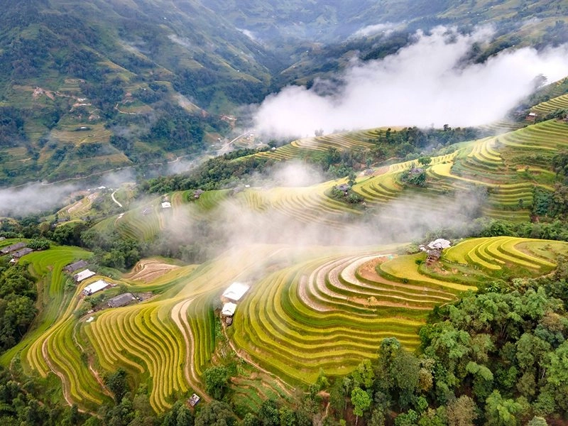 Thưởng thức vẽ tranh phong cảnh hà giang nghệ thuật tinh tế