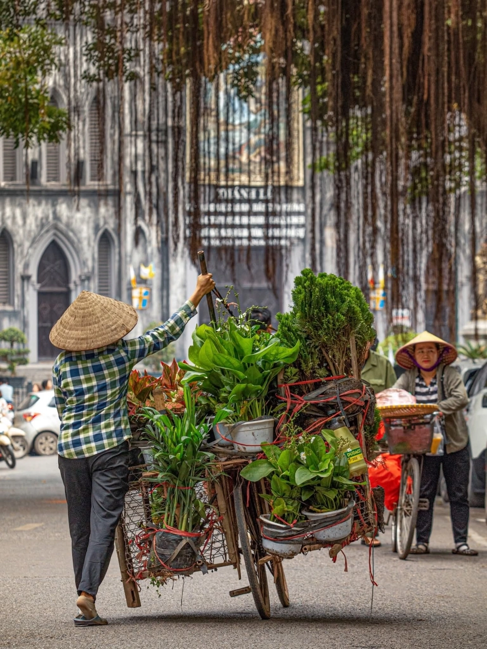 Tận hưởng hình ảnh phong cảnh hà nội nhẹ nhàng và thanh bình