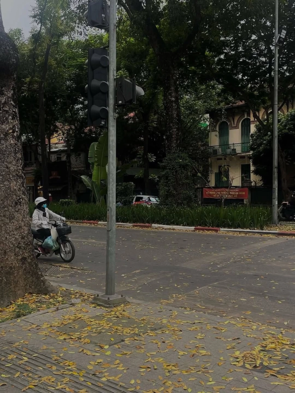 Thưởng thức phong cảnh hà nội đẹp từ mọi góc phố