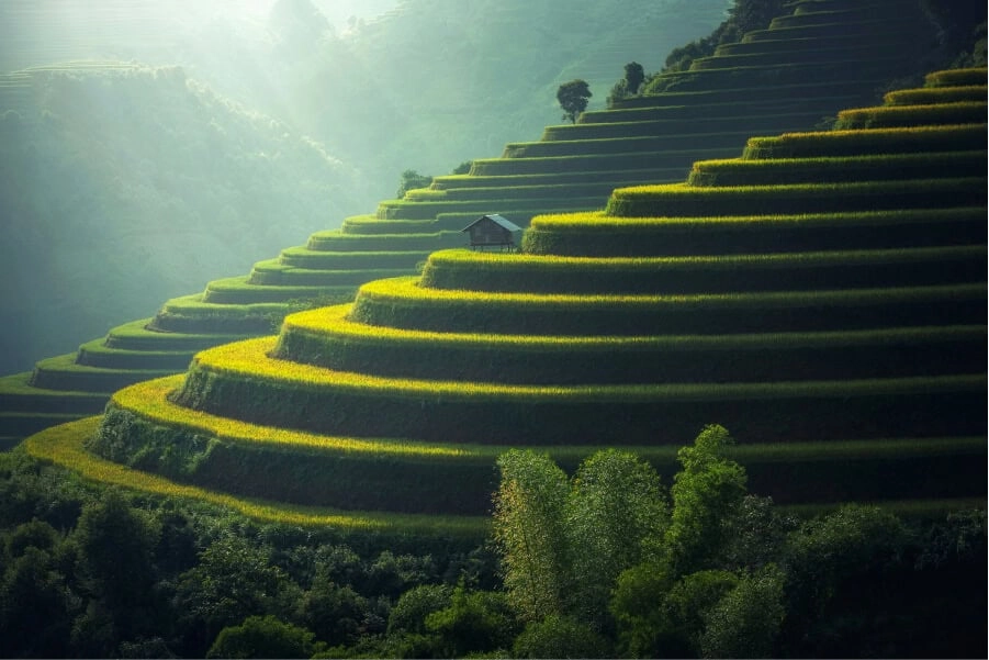 Ngắm tranh phong cảnh nước Ý đẹp lãng mạn và tuyệt vời