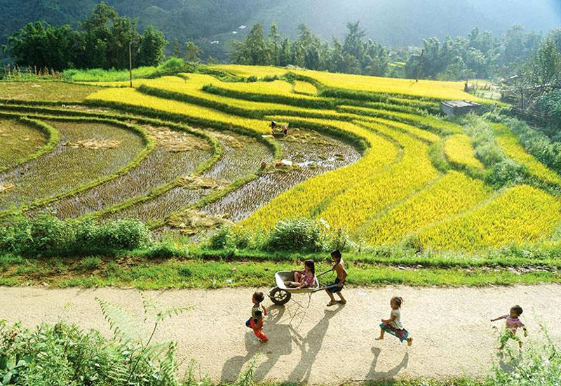 Ngắm hình ảnh Sapa đẹp nổi bật giữa sương mờ núi cao