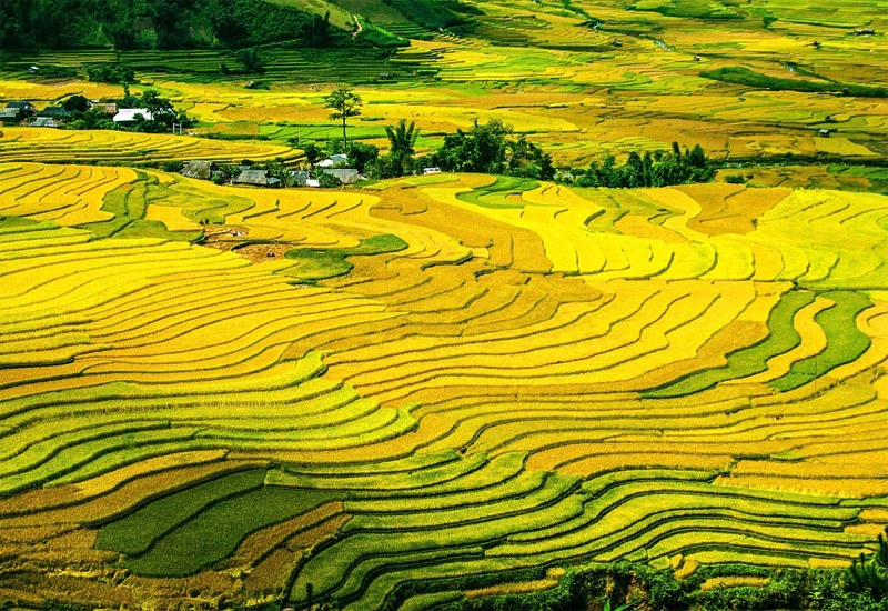 Chiêm ngưỡng phong cảnh Sa Pa thơ mộng khó quên