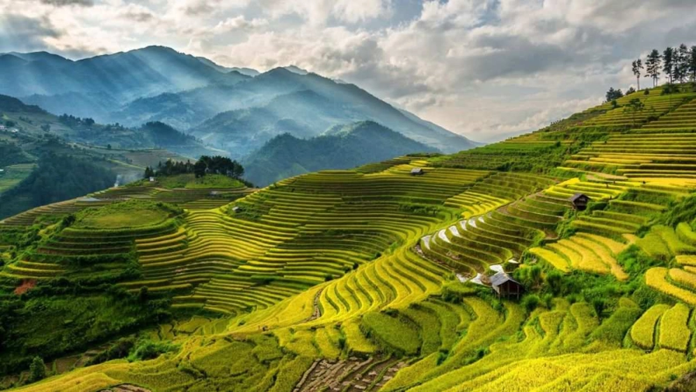 Chiêm ngưỡng ảnh phong cảnh quê hương tĩnh lặng và gần gũi
