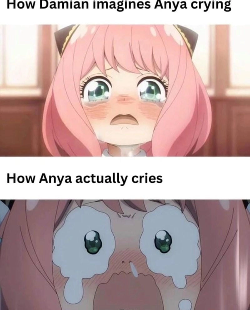 Lạc lối trong thế giới anya meme cute