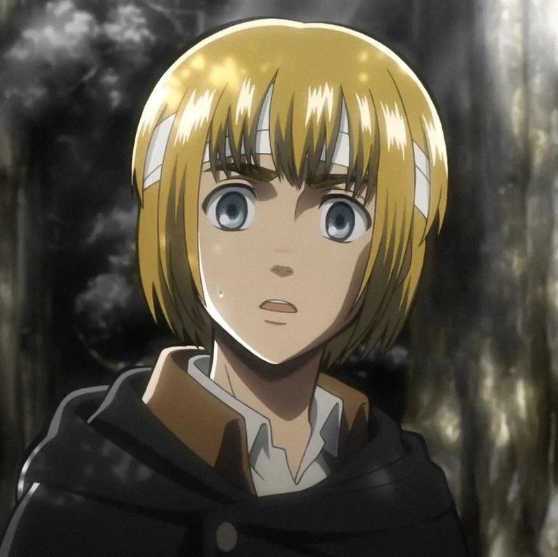 Hành trình anh hùng cùng attack on titan armin