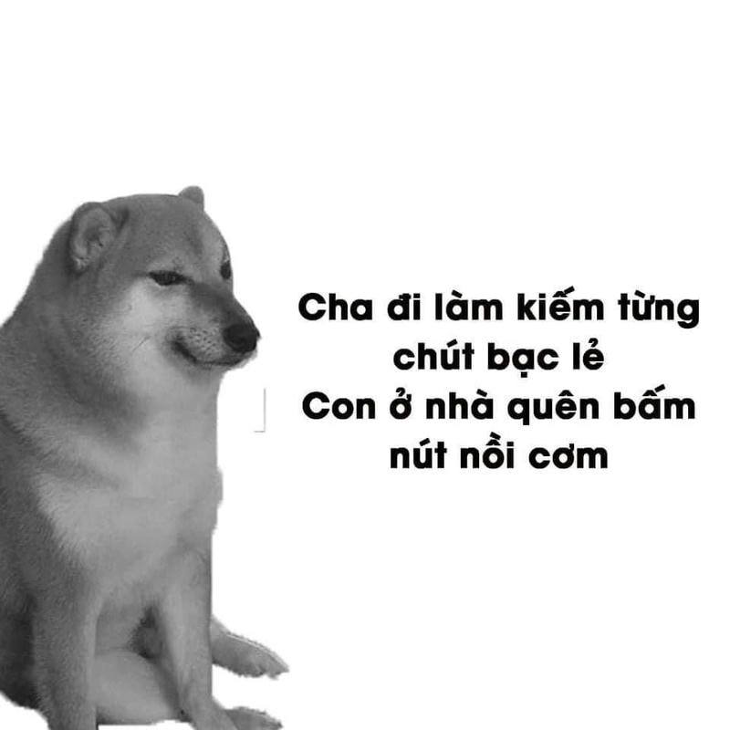 Sở hữu avatar chó hài hước dễ thương để làm mới ảnh đại diện mạng xã hội