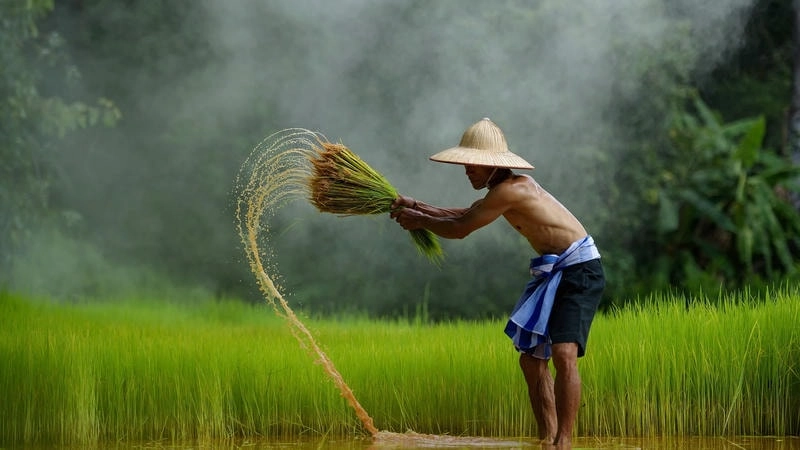 Tận hưởng avatar aesthetic hướng nội mang đậm dấu ấn nghệ thuật riêng