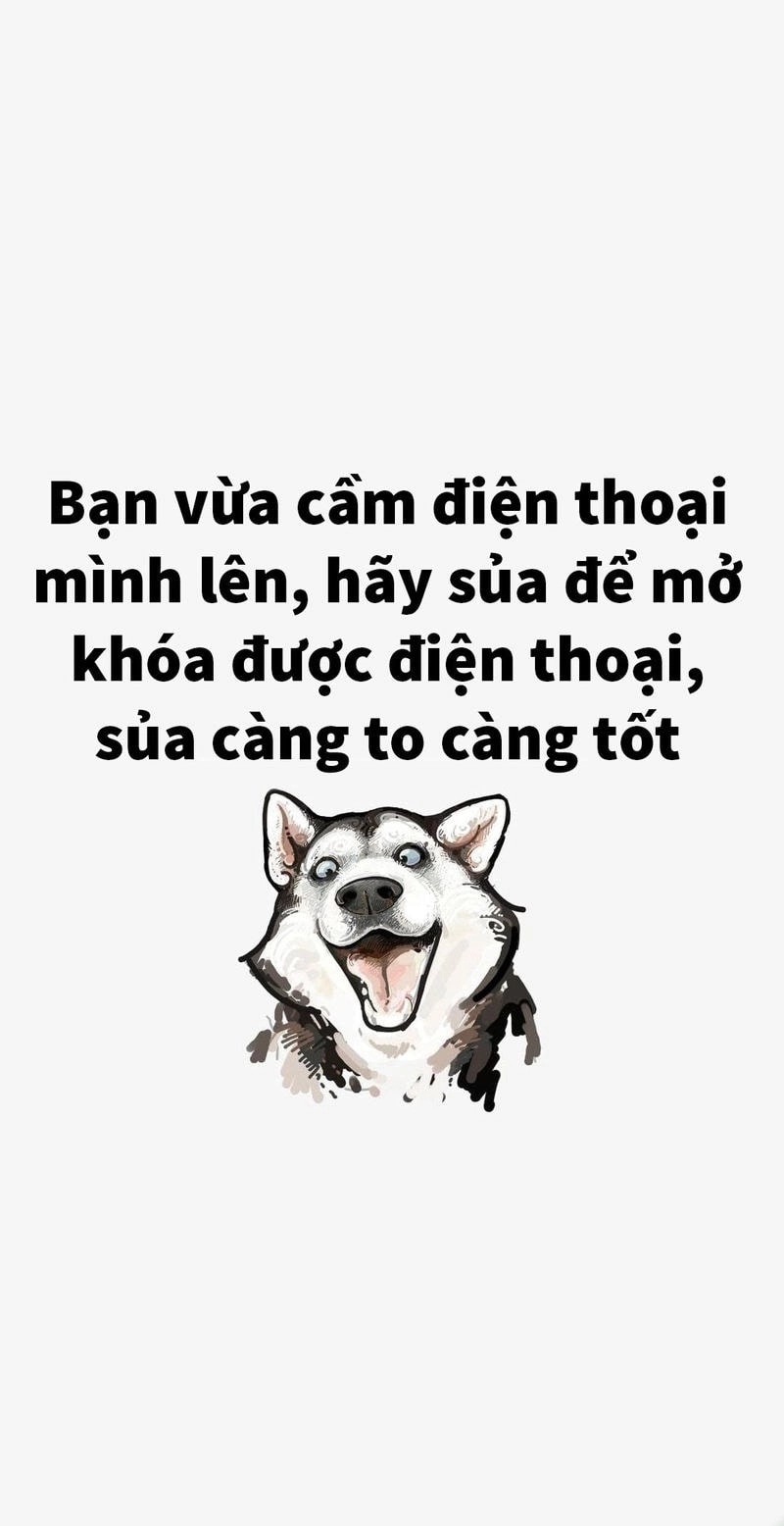 Chọn ngay avatar hài hước nhất nổi bật và độc đáo