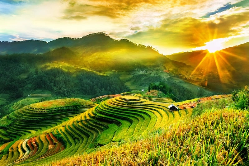 Khám phá avatar phong cảnh chill thư giãn và đầy cảm hứng