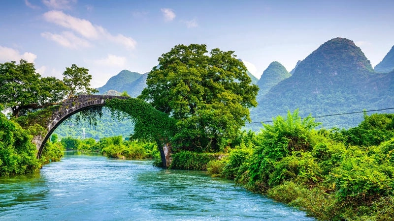 Thưởng thức chill avatar phong cảnh nhẹ nhàng và thư thái