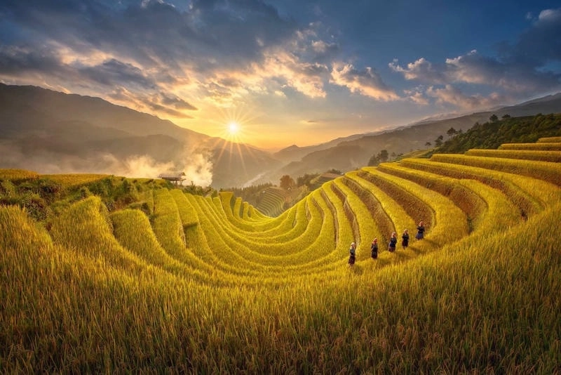 Sưu tầm hình avatar thiên nhiên đẹp ấn tượng