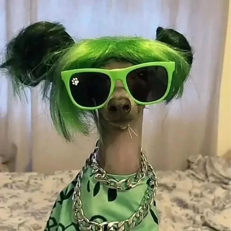 Sưu tầm những bức avt meme vui