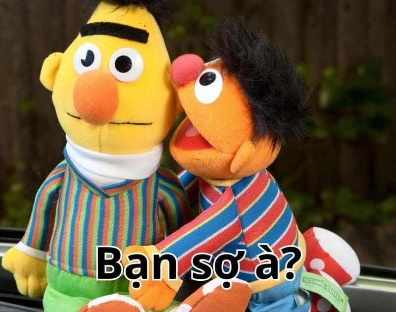 Tìm hiểu Sức hút của meme bạn sợ à