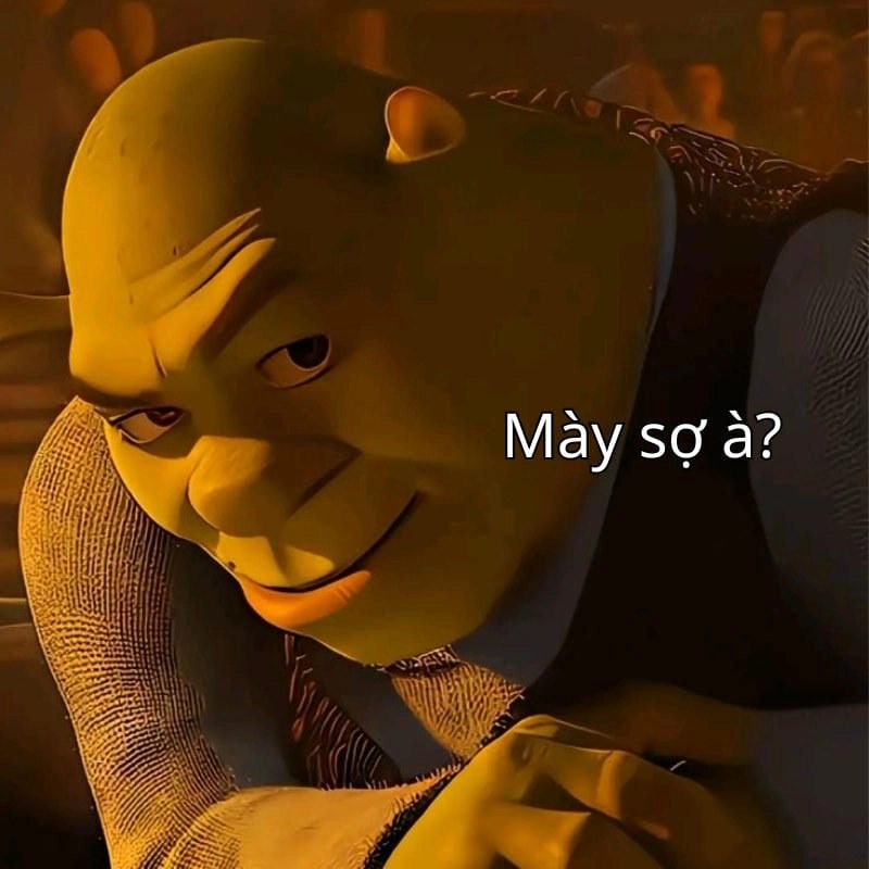 Thức dậy cùng những hình bạn sợ à meme viral
