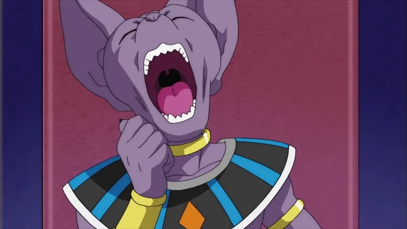 Phiêu lưu cùng chiến binh vũ trụ beerus dragon ball