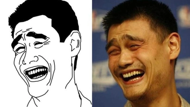 Khám phá những bức ảnh các meme nổi tiếng hài hước
