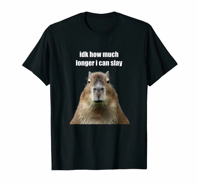 Cười sảng với capybara meme độc lạ