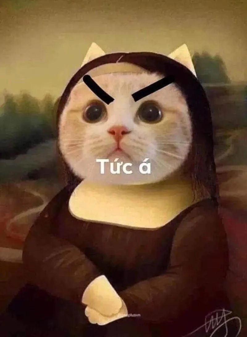 Ngắm nhìn vẻ đẹp meme cay ngầu