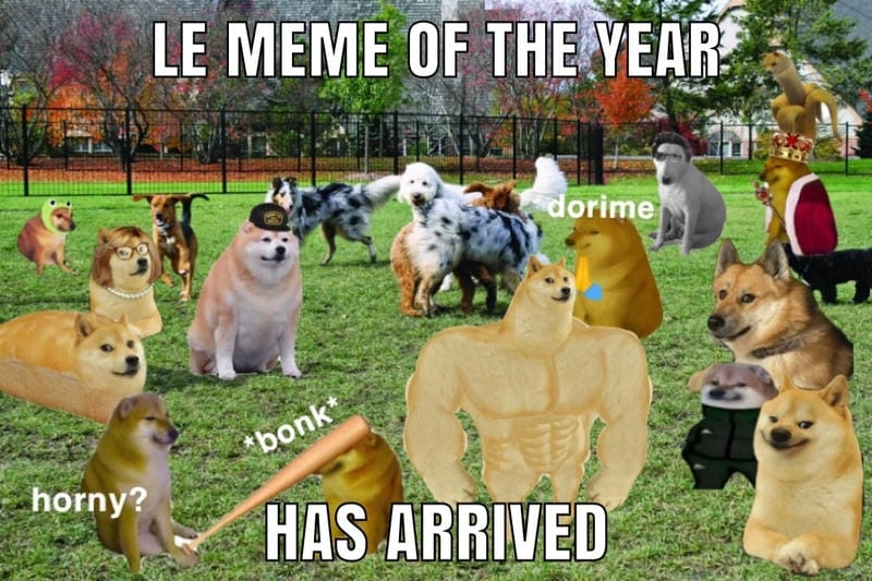 Cùng du ngoạn cheems meme nổi tiếng
