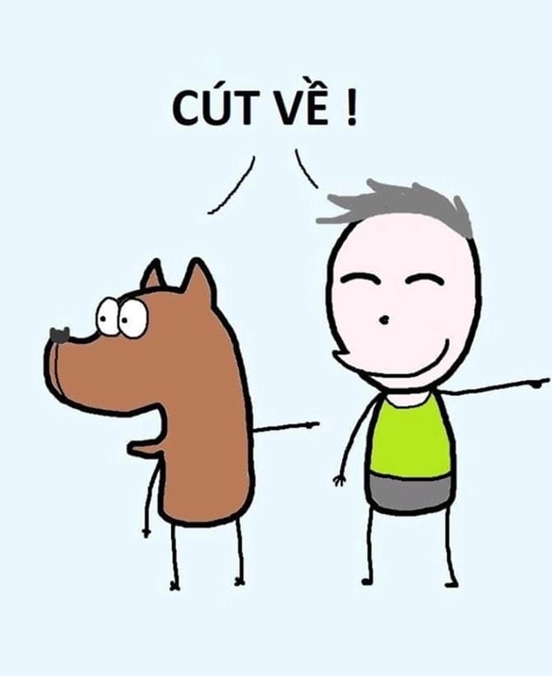 Sưu tầm những bức cút meme mới nhất