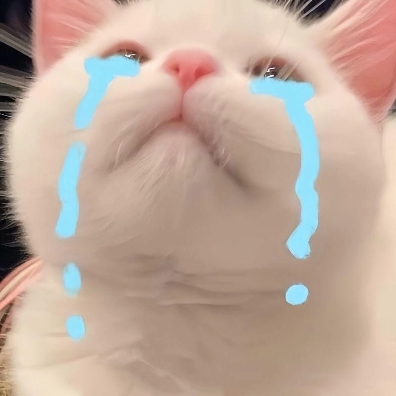 Lạc lối trong cute meme đáng yêu