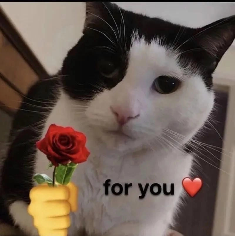 Gợi ý những bức meme cute mới nhất