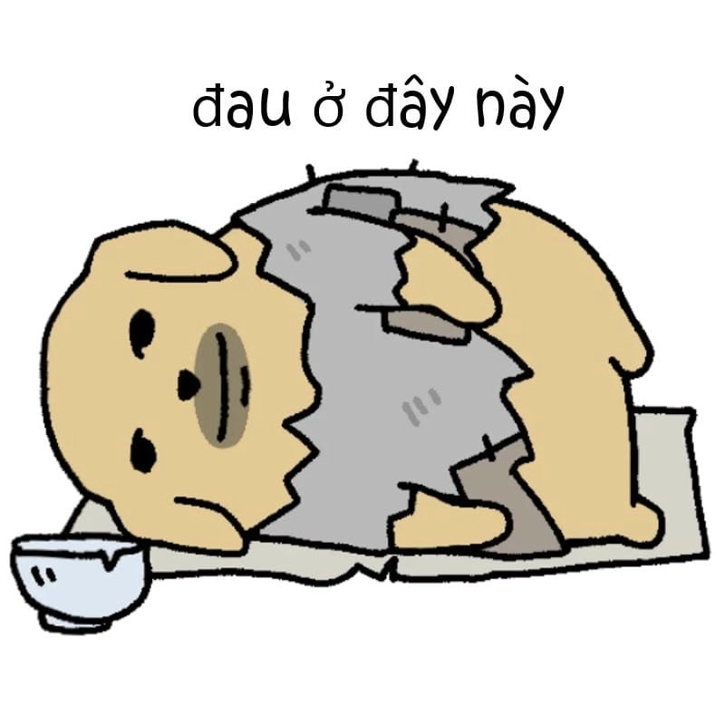 Tìm hiểu Sức hút của meme đau ở đây này
