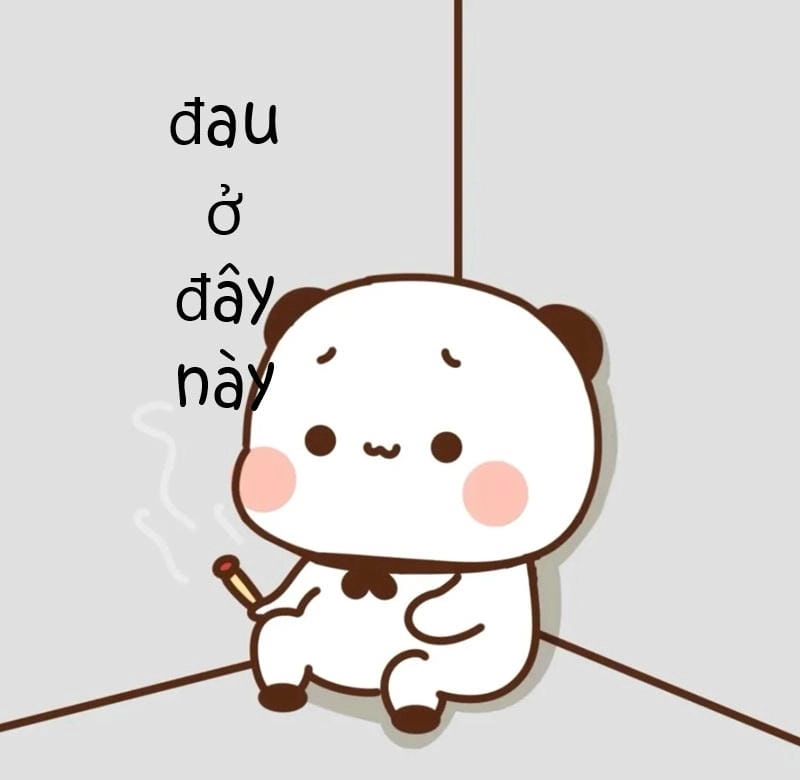 Ngắm nhìn vẻ đẹp meme đau ở đây này tiếng Việt