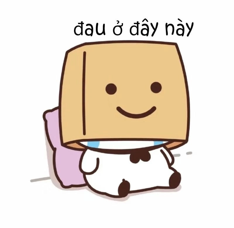 Lạc lối trong thế giới caption meme đau ở đây này