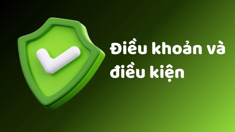 Các Điều khoản và Điều kiện này được điều chỉnh và giải thích theo luật pháp