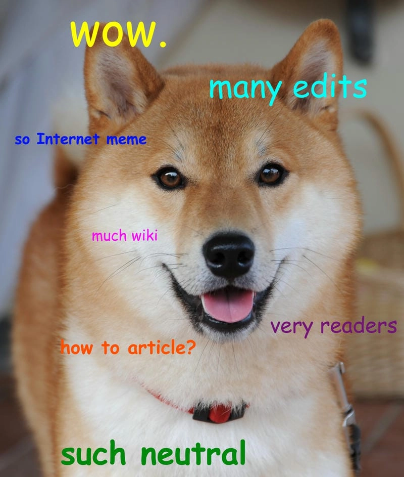 Cùng du ngoạn doge meme nổi tiếng