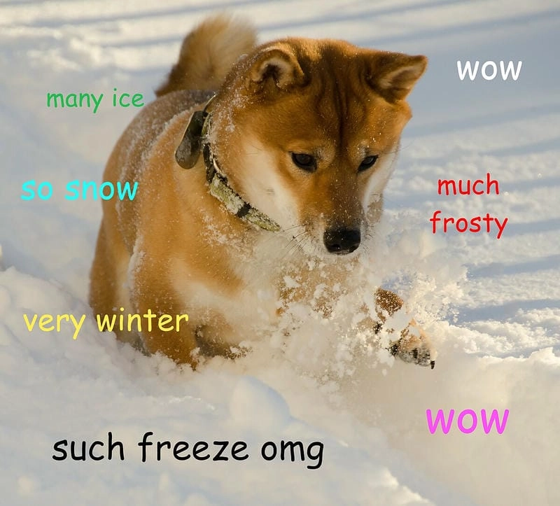 Tìm hiểu sức hút của doge meme