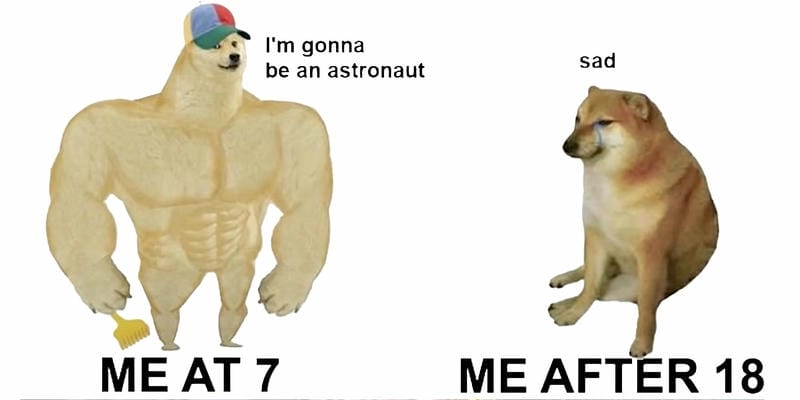 Cùng cười với những hình doge meme vui nhộn