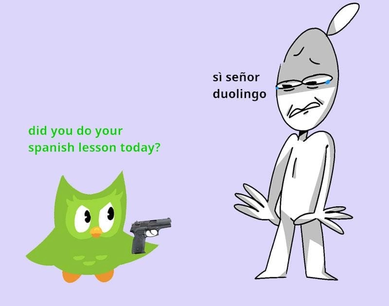 Tìm hiểu sức hút của Duolingo meme
