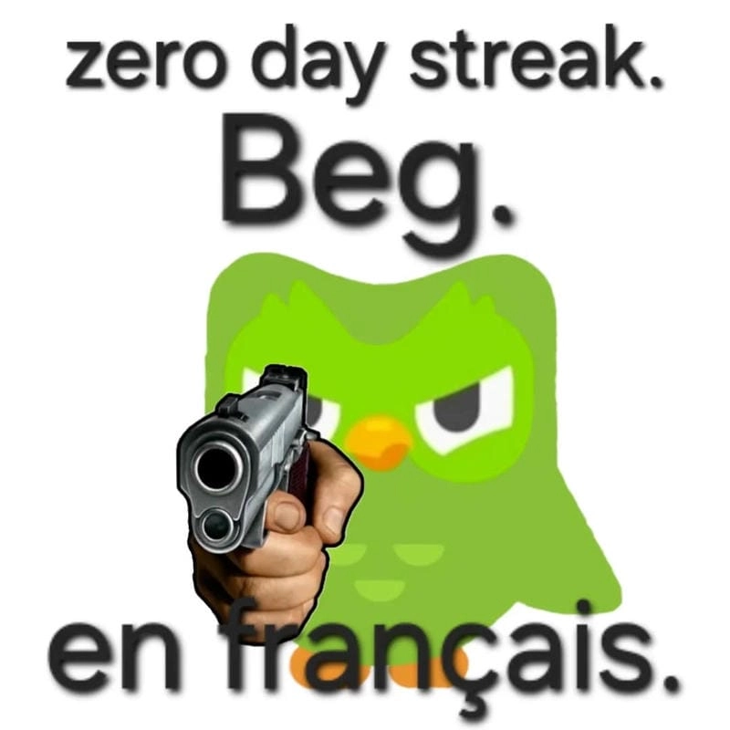 Ngắm nhìn vẻ đẹp meme duolingo chế