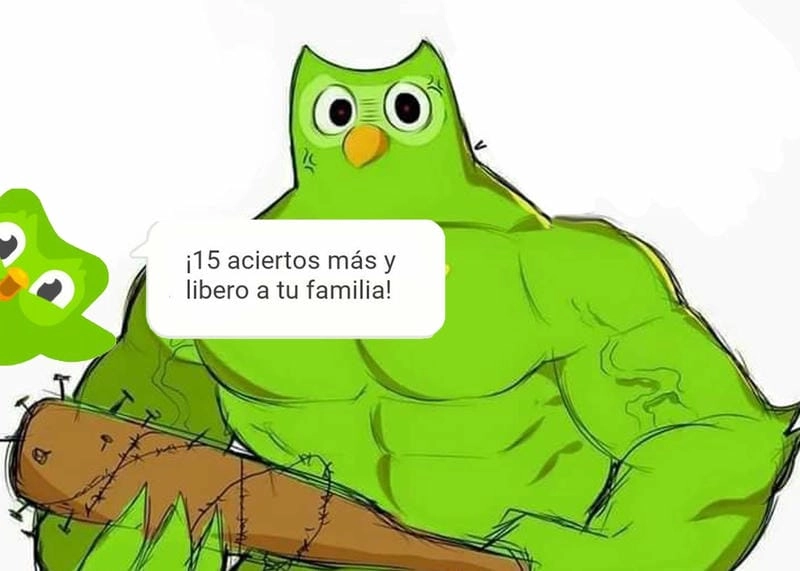 Săn lùng những khoảnh khắc meme duolingo học tiếng anh