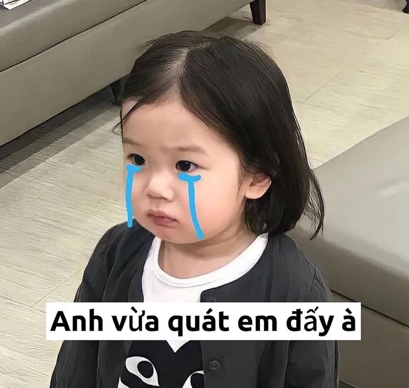 Lạc lối trong em bé meme chế